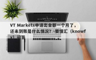 VT Markets申请出金都一个月了，还未到账是什么情况？-要懂汇（knowfx）问答