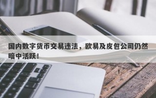 国内数字货币交易违法，欧易及皮包公司仍然暗中活跃！