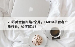 29万美金被冻结7个月，TMGM平台客户维权难，如何解决？