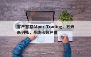 客户怒怼Alpex Trading：五天未到账，系统卡顿严重