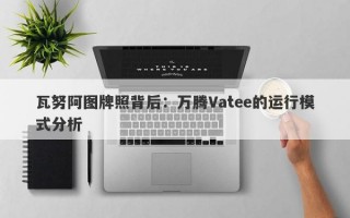 瓦努阿图牌照背后：万腾Vatee的运行模式分析