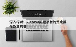 深入探讨：Vistova问题平台的荒唐操作及其后果