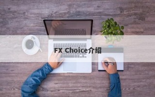 FX Choice介绍