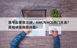 黑平台重现江湖，ANC与NCE同门兄弟？真相调查揭露内幕！