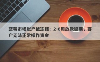 蓝莓市场账户被冻结：2-6周放款延期，客户无法正常操作资金