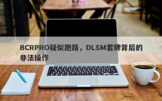 BCRPRO疑似跑路，DLSM套牌背后的非法操作