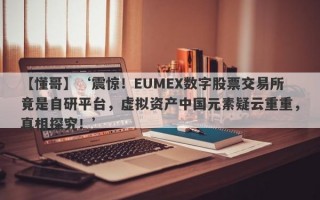 【懂哥】‘震惊！EUMEX数字股票交易所竟是自研平台，虚拟资产中国元素疑云重重，真相探究！’