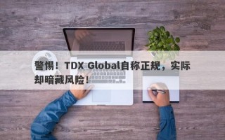 警惕！TDX Global自称正规，实际却暗藏风险！