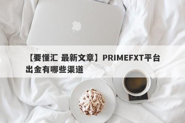 【要懂汇 最新文章】PRIMEFXT平台出金有哪些渠道
-第1张图片-要懂汇圈网