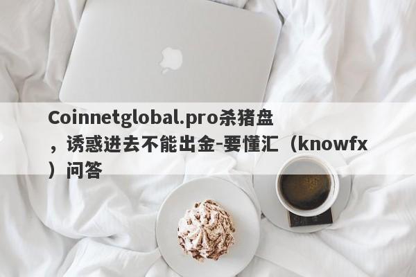 Coinnetglobal.pro杀猪盘，诱惑进去不能出金-要懂汇（knowfx）问答-第1张图片-要懂汇圈网