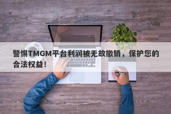 警惕TMGM平台利润被无故撤销，保护您的合法权益！-第1张图片-要懂汇圈网