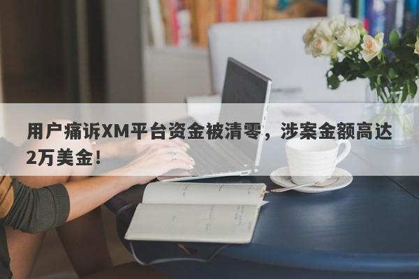 用户痛诉XM平台资金被清零，涉案金额高达2万美金！-第1张图片-要懂汇圈网