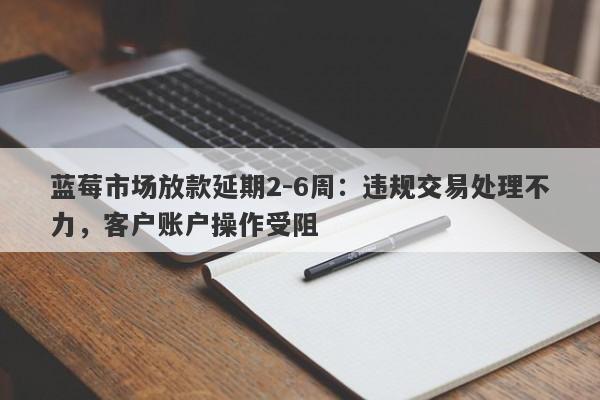 蓝莓市场放款延期2-6周：违规交易处理不力，客户账户操作受阻-第1张图片-要懂汇圈网