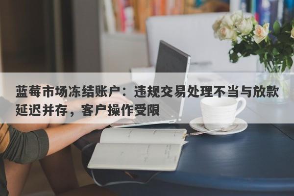 蓝莓市场冻结账户：违规交易处理不当与放款延迟并存，客户操作受限-第1张图片-要懂汇圈网