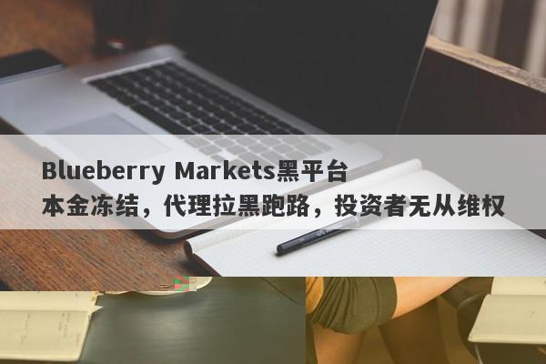 Blueberry Markets黑平台本金冻结，代理拉黑跑路，投资者无从维权-第1张图片-要懂汇圈网