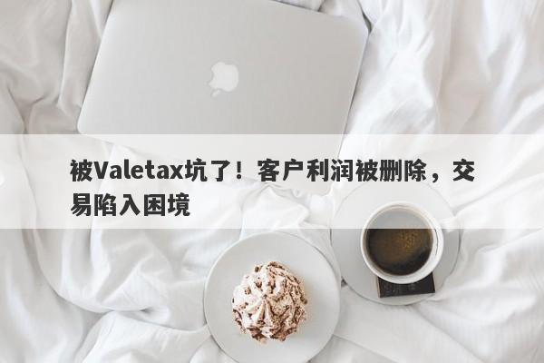 被Valetax坑了！客户利润被删除，交易陷入困境-第1张图片-要懂汇圈网