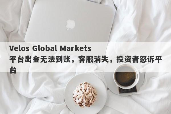 Velos Global Markets平台出金无法到账，客服消失，投资者怒诉平台-第1张图片-要懂汇圈网