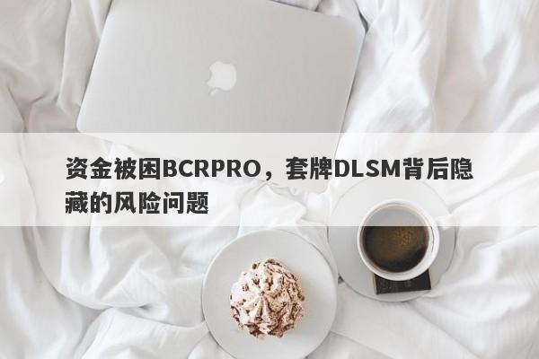 资金被困BCRPRO，套牌DLSM背后隐藏的风险问题-第1张图片-要懂汇圈网