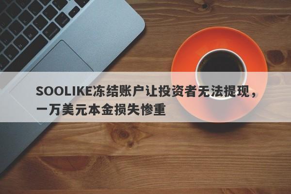 SOOLIKE冻结账户让投资者无法提现，一万美元本金损失惨重-第1张图片-要懂汇圈网